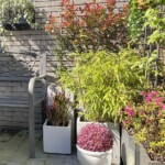 logement jardin tournai